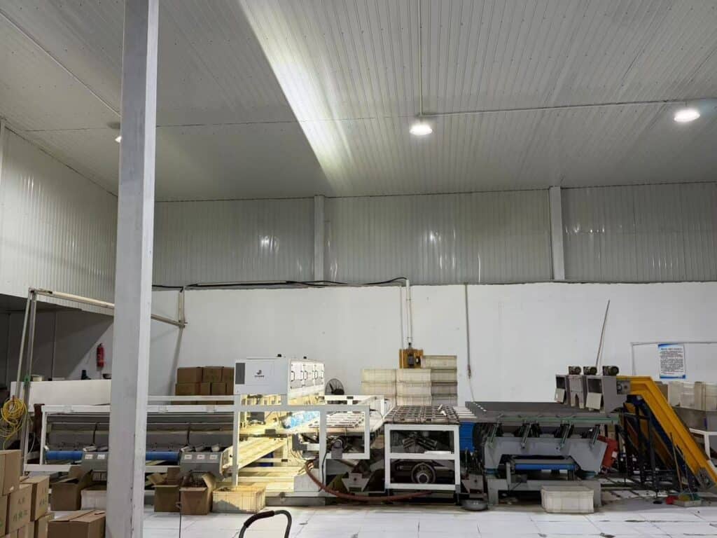walnut kernel processing factory