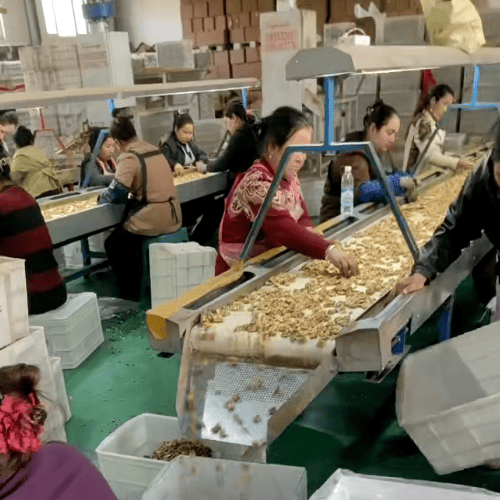 坚果包装生产线自动化设备.