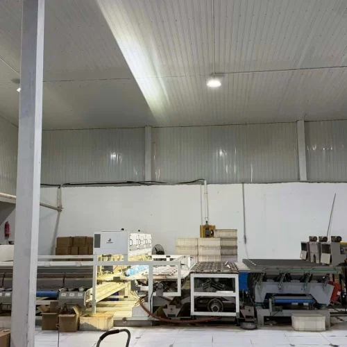 walnut kernel processing factory