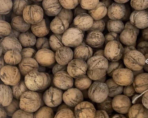 Unwashed 185 Walnut