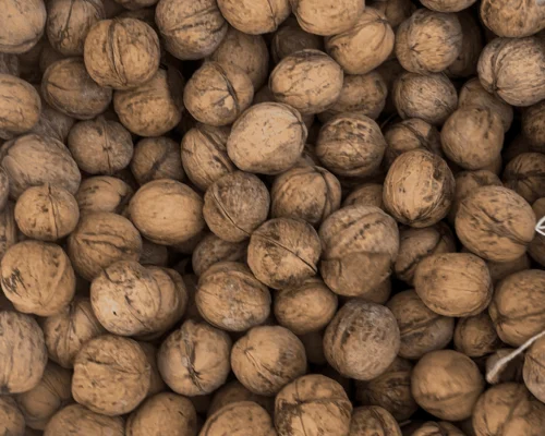 Unwashed 185 Walnut