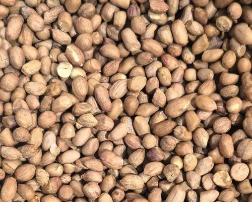 ALT标签：开心果和榛子混合的坚果原料，健康零食选择.